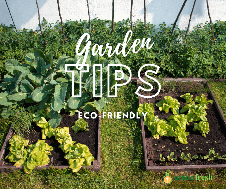 Spotlight On Sustainability Eco Friendly Gardening Tips Photo Inspiration