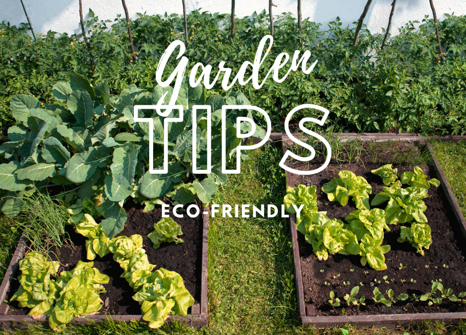 Spotlight on Sustainability: Eco-Friendly Gardening Tips