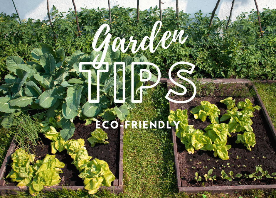 garden tips